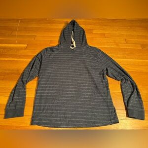 Marine Layer Blue Striped Hoodie
